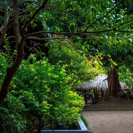 Arugambay Coco Bay Ξενοδοχείο Arugam Bay Εξωτερικό φωτογραφία