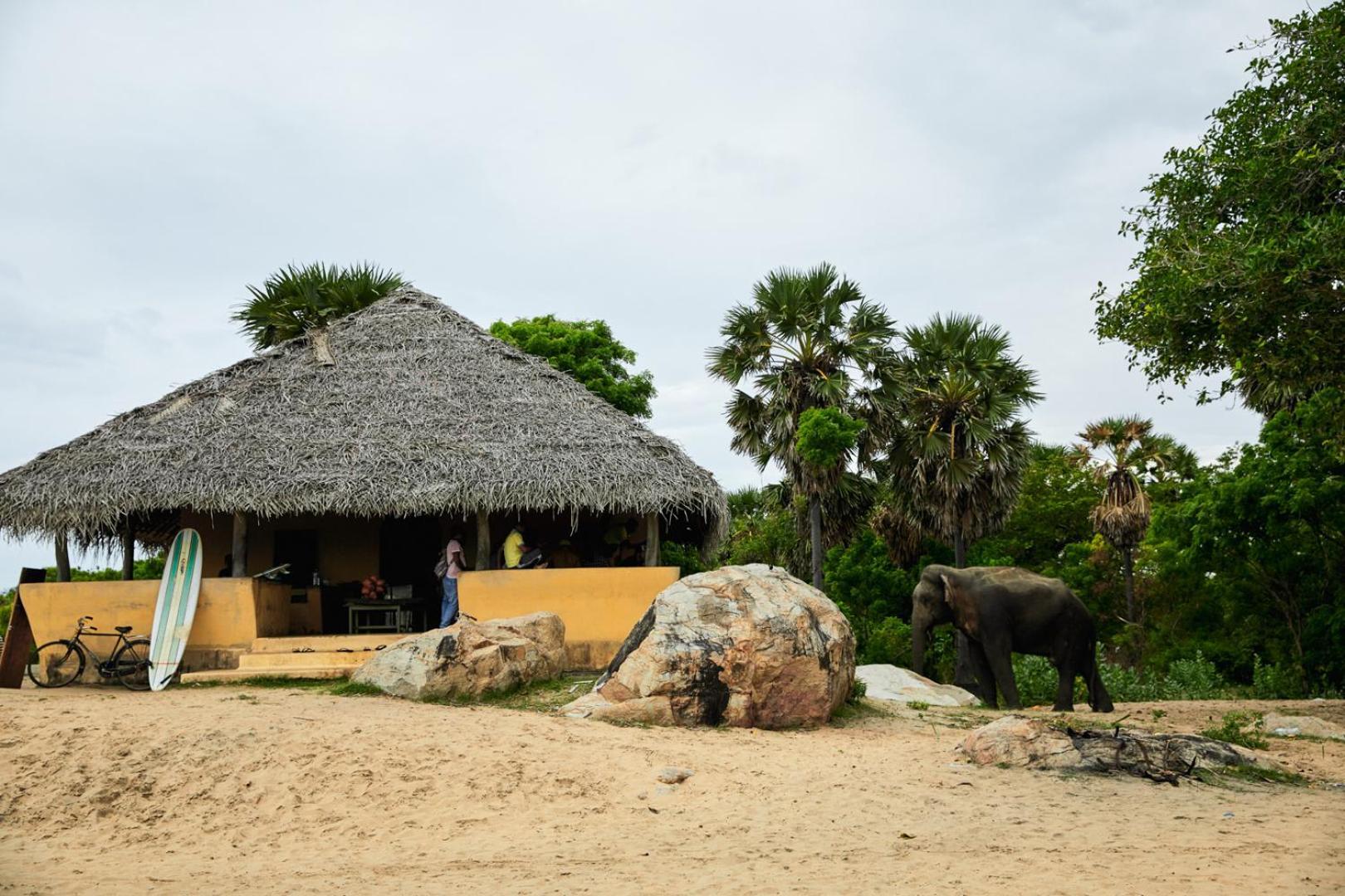 Arugambay Coco Bay Ξενοδοχείο Arugam Bay Εξωτερικό φωτογραφία